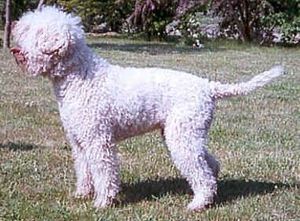 [Rozmiar: 36082 bajtów]