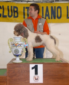 [Rozmiar: 46017 bajtów]