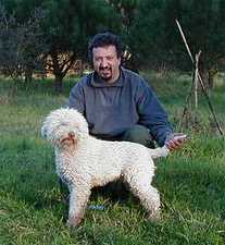 [Rozmiar: 36082 bajtów]