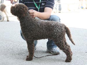 [Rozmiar: 36082 bajtów]