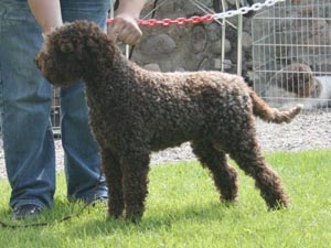 [Rozmiar: 36082 bajtów]